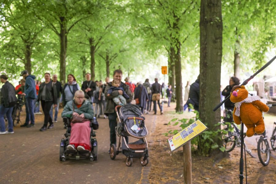 BK_ZUZ_Gruenflaechenunterhaltung-15-06-24-218 Kopie
