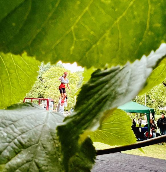 Zirkus Fassungslos 1